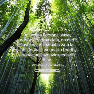 Picture 05 - Yeremyaah 49:17 SOM - Oo weliba Edomna waxay noqon doontaa cidla, oo - Bible Verse Picture