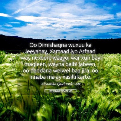Picture 05 - Yeremyaah 49:23 SOM - Oo Dimishaqna wuxuu ka leeyahay, Xamaad iyo - Bible Verse Picture