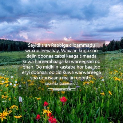 Picture 05 - Yeremyaah 49:5 SOM - Sayidka ah Rabbiga ciidammadu wuxuu leeyahay, - Bible Verse Picture