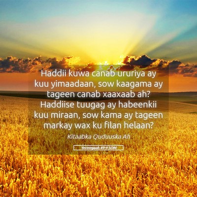 Picture 05 - Yeremyaah 49:9 SOM - Haddii kuwa canab ururiya ay kuu yimaadaan, sow - Bible Verse Picture