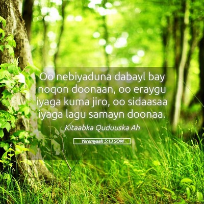 Picture 05 - Yeremyaah 5:13 SOM - Oo nebiyaduna dabayl bay noqon doonaan, oo eraygu - Bible Verse Picture