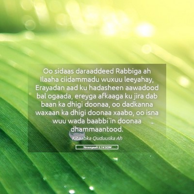 Picture 05 - Yeremyaah 5:14 SOM - Oo sidaas daraaddeed Rabbiga ah Ilaaha ciidammadu - Bible Verse Picture