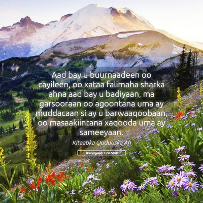 Picture 05 - Yeremyaah 5:28 SOM - Aad bay u buurnaadeen oo cayileen, oo xataa - Bible Verse Picture
