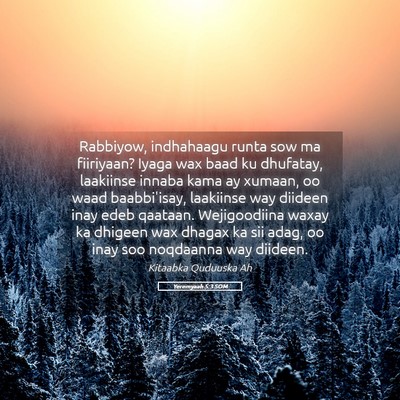 Picture 05 - Yeremyaah 5:3 SOM - Rabbiyow, indhahaagu runta sow ma fiiriyaan? - Bible Verse Picture