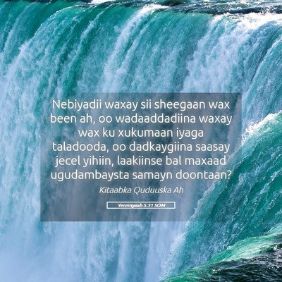 Picture 05 - Yeremyaah 5:31 SOM - Nebiyadii waxay sii sheegaan wax been ah, oo - Bible Verse Picture