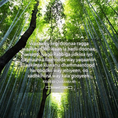 Picture 05 - Yeremyaah 5:5 SOM - Waxaan u tegi doonaa ragga waaweyn, oo waan la - Bible Verse Picture