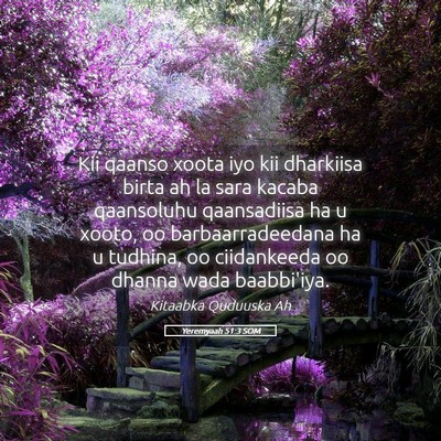 Picture 05 - Yeremyaah 51:3 SOM - Kii qaanso xoota iyo kii dharkiisa birta ah la - Bible Verse Picture