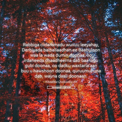 Picture 05 - Yeremyaah 51:58 SOM - Rabbiga ciidammadu wuxuu leeyahay, Derbiyada - Bible Verse Picture