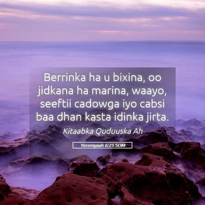 Picture 05 - Yeremyaah 6:25 SOM - Berrinka ha u bixina, oo jidkana ha marina, - Bible Verse Picture