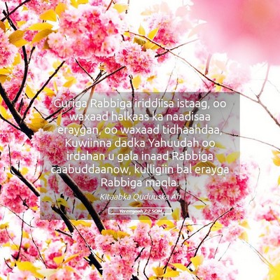Picture 05 - Yeremyaah 7:2 SOM - Guriga Rabbiga iriddiisa istaag, oo waxaad - Bible Verse Picture