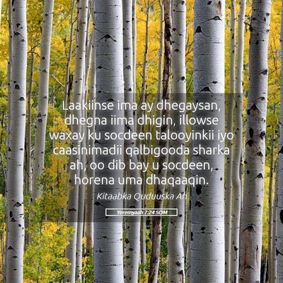 Picture 05 - Yeremyaah 7:24 SOM - Laakiinse ima ay dhegaysan, dhegna iima dhigin, - Bible Verse Picture