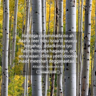 Picture 05 - Yeremyaah 7:3 SOM - Rabbiga ciidammada oo ah Ilaaha reer binu - Bible Verse Picture