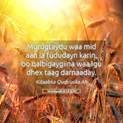 Picture 05 - Yeremyaah 8:18 SOM - Murugtaydu waa mid aan la fududayn karin, oo - Bible Verse Picture
