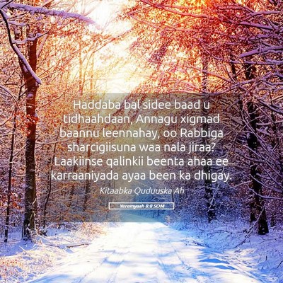 Picture 05 - Yeremyaah 8:8 SOM - Haddaba bal sidee baad u tidhaahdaan, Annagu - Bible Verse Picture