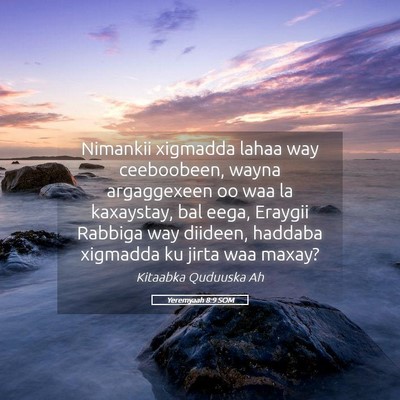 Picture 05 - Yeremyaah 8:9 SOM - Nimankii xigmadda lahaa way ceeboobeen, wayna - Bible Verse Picture