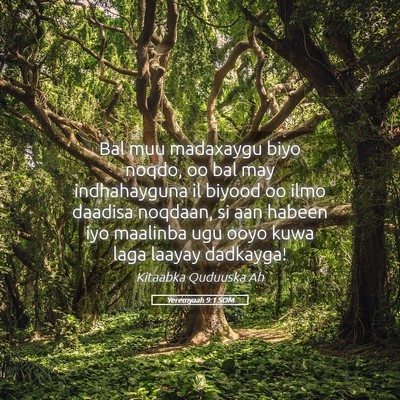 Picture 05 - Yeremyaah 9:1 SOM - Bal muu madaxaygu biyo noqdo, oo bal may - Bible Verse Picture