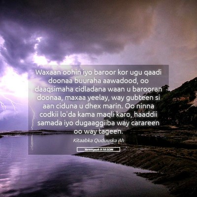 Picture 05 - Yeremyaah 9:10 SOM - Waxaan oohin iyo baroor kor ugu qaadi doonaa - Bible Verse Picture