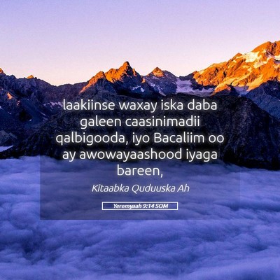 Picture 05 - Yeremyaah 9:14 SOM - laakiinse waxay iska daba galeen caasinimadii - Bible Verse Picture