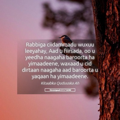 Picture 05 - Yeremyaah 9:17 SOM - Rabbiga ciidammadu wuxuu leeyahay, Aad u - Bible Verse Picture