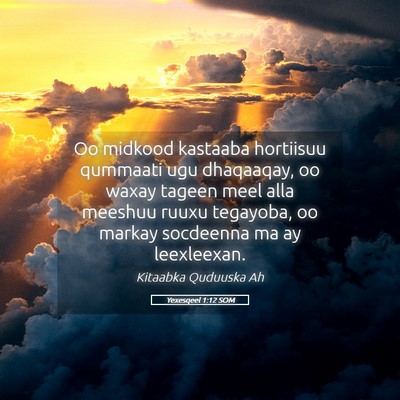 Picture 05 - Yexesqeel 1:12 SOM - Oo midkood kastaaba hortiisuu qummaati ugu - Bible Verse Picture