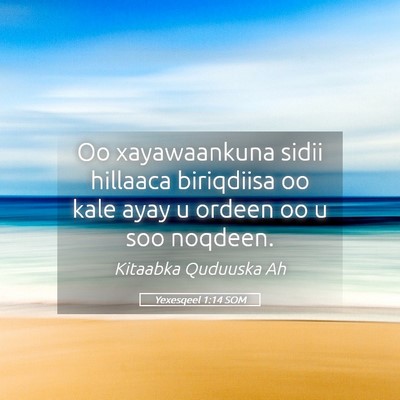 Picture 05 - Yexesqeel 1:14 SOM - Oo xayawaankuna sidii hillaaca biriqdiisa oo kale - Bible Verse Picture