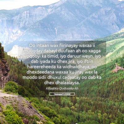 Picture 05 - Yexesqeel 1:4 SOM - Oo intaan wax fiirinayay waxaa ii muuqday dabayl - Bible Verse Picture