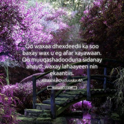 Picture 05 - Yexesqeel 1:5 SOM - Oo waxaa dhexdeedii ka soo baxay wax u eg afar - Bible Verse Picture
