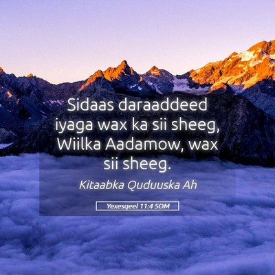 Picture 05 - Yexesqeel 11:4 SOM - Sidaas daraaddeed iyaga wax ka sii sheeg, Wiilka - Bible Verse Picture