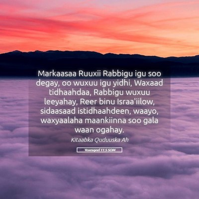Picture 05 - Yexesqeel 11:5 SOM - Markaasaa Ruuxii Rabbigu igu soo degay, oo wuxuu - Bible Verse Picture