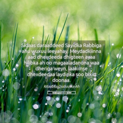 Picture 05 - Yexesqeel 11:7 SOM - Sidaas daraaddeed Sayidka Rabbiga ahu wuxuu - Bible Verse Picture