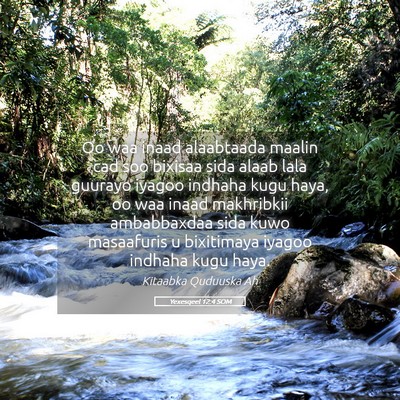Picture 05 - Yexesqeel 12:4 SOM - Oo waa inaad alaabtaada maalin cad soo bixisaa - Bible Verse Picture