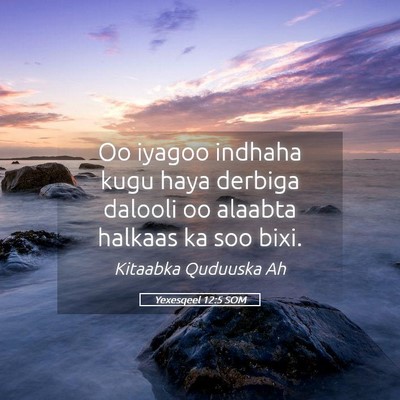 Picture 05 - Yexesqeel 12:5 SOM - Oo iyagoo indhaha kugu haya derbiga dalooli oo - Bible Verse Picture
