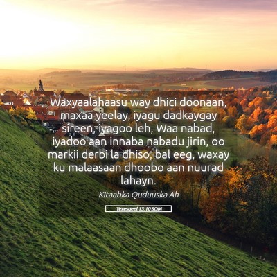 Picture 05 - Yexesqeel 13:10 SOM - Waxyaalahaasu way dhici doonaan, maxaa yeelay, - Bible Verse Picture