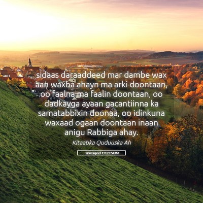 Picture 05 - Yexesqeel 13:23 SOM - sidaas daraaddeed mar dambe wax aan waxba ahayn - Bible Verse Picture