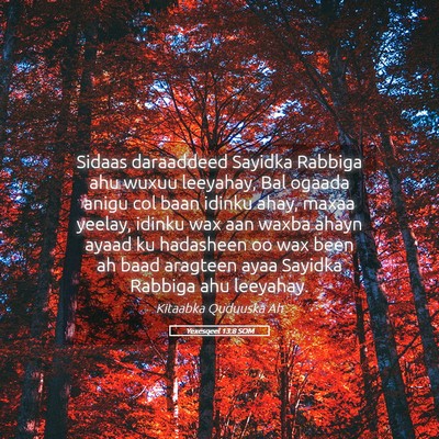 Picture 05 - Yexesqeel 13:8 SOM - Sidaas daraaddeed Sayidka Rabbiga ahu wuxuu - Bible Verse Picture