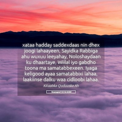 Picture 05 - Yexesqeel 14:16 SOM - xataa hadday saddexdaas nin dhex joogi lahaayeen, - Bible Verse Picture