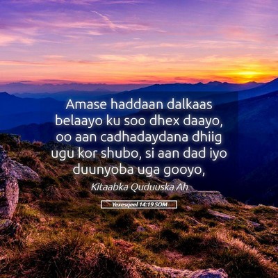 Picture 05 - Yexesqeel 14:19 SOM - Amase haddaan dalkaas belaayo ku soo dhex daayo, - Bible Verse Picture