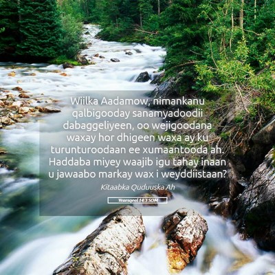 Picture 05 - Yexesqeel 14:3 SOM - Wiilka Aadamow, nimankanu qalbigooday - Bible Verse Picture