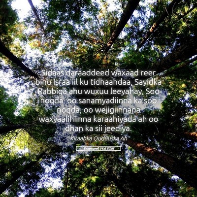 Picture 05 - Yexesqeel 14:6 SOM - Sidaas daraaddeed waxaad reer binu Israa'iil ku - Bible Verse Picture