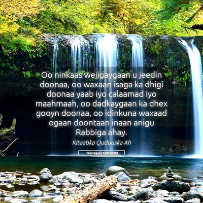 Picture 05 - Yexesqeel 14:8 SOM - Oo ninkaas wejigaygaan u jeedin doonaa, oo waxaan - Bible Verse Picture