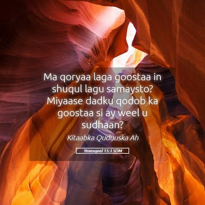 Picture 05 - Yexesqeel 15:3 SOM - Ma qoryaa laga goostaa in shuqul lagu samaysto? - Bible Verse Picture