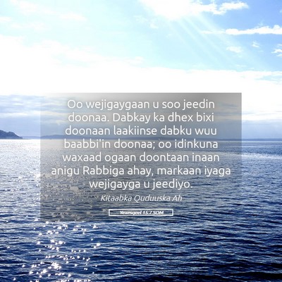 Picture 05 - Yexesqeel 15:7 SOM - Oo wejigaygaan u soo jeedin doonaa. Dabkay ka - Bible Verse Picture