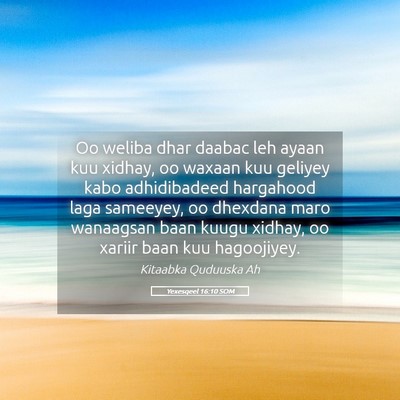 Picture 05 - Yexesqeel 16:10 SOM - Oo weliba dhar daabac leh ayaan kuu xidhay, oo - Bible Verse Picture