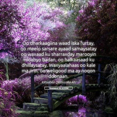 Picture 05 - Yexesqeel 16:16 SOM - Oo dharkaagiina waad iska furtay, oo meelo - Bible Verse Picture
