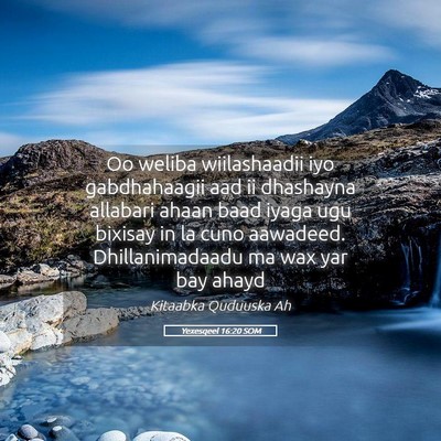 Picture 05 - Yexesqeel 16:20 SOM - Oo weliba wiilashaadii iyo gabdhahaagii aad ii - Bible Verse Picture