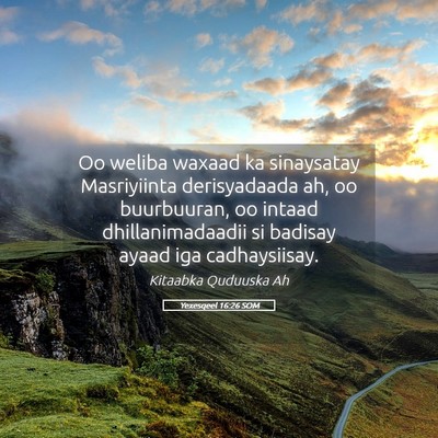Picture 05 - Yexesqeel 16:26 SOM - Oo weliba waxaad ka sinaysatay Masriyiinta - Bible Verse Picture