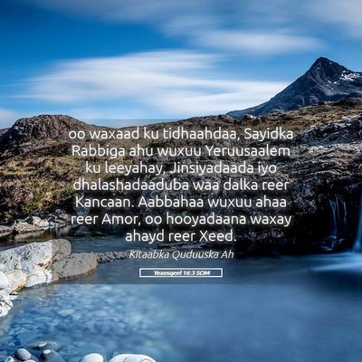 Picture 05 - Yexesqeel 16:3 SOM - oo waxaad ku tidhaahdaa, Sayidka Rabbiga ahu - Bible Verse Picture