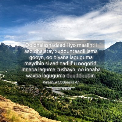 Picture 05 - Yexesqeel 16:4 SOM - Oo dhalashadaadii iyo maalintii aad dhalatay - Bible Verse Picture