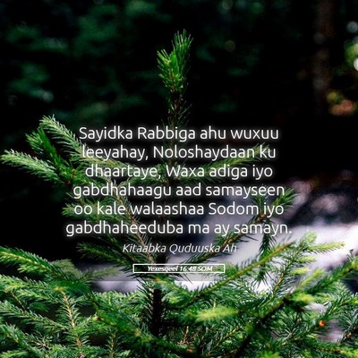 Picture 05 - Yexesqeel 16:48 SOM - Sayidka Rabbiga ahu wuxuu leeyahay, Noloshaydaan - Bible Verse Picture