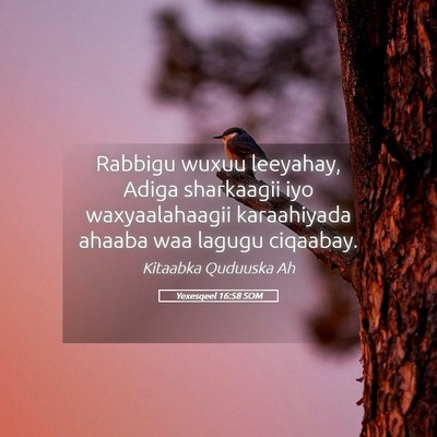 Picture 05 - Yexesqeel 16:58 SOM - Rabbigu wuxuu leeyahay, Adiga sharkaagii iyo - Bible Verse Picture